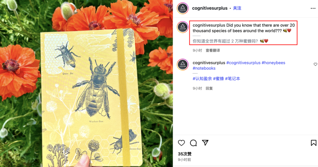 2人小作坊逆袭成明星卖家！看Cognitive Surplus如何把有毒植物印成爆款