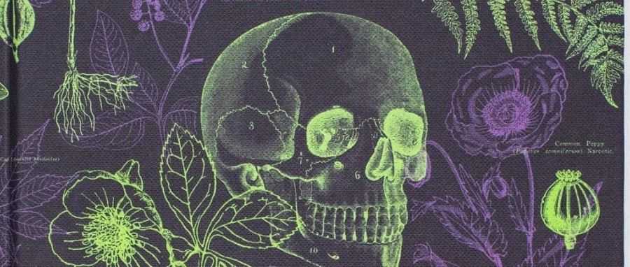 2人小作坊逆袭成明星卖家！看Cognitive Surplus如何把有毒植物印成爆款