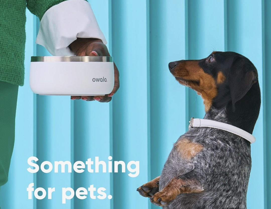 逆袭Stanley登顶全美销冠！这个保温杯靠多巴胺配色火出圈