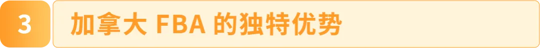 她在加拿大卖劳保手套年销百万美金！揭秘传统外贸转型亚马逊如何绝地逢生