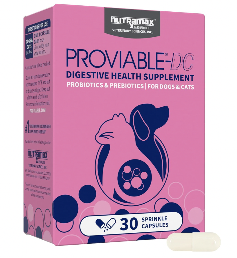 月销百万美金，宠物卖家必须关注的亚马逊10款热销单品