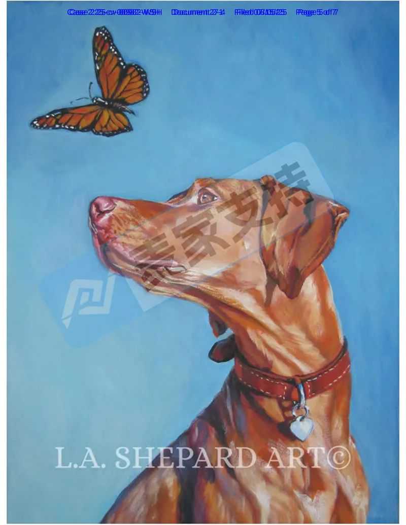 25-cv-00982，203店涉案被TRO冻结的狗狗版权，维权细节出炉啦！