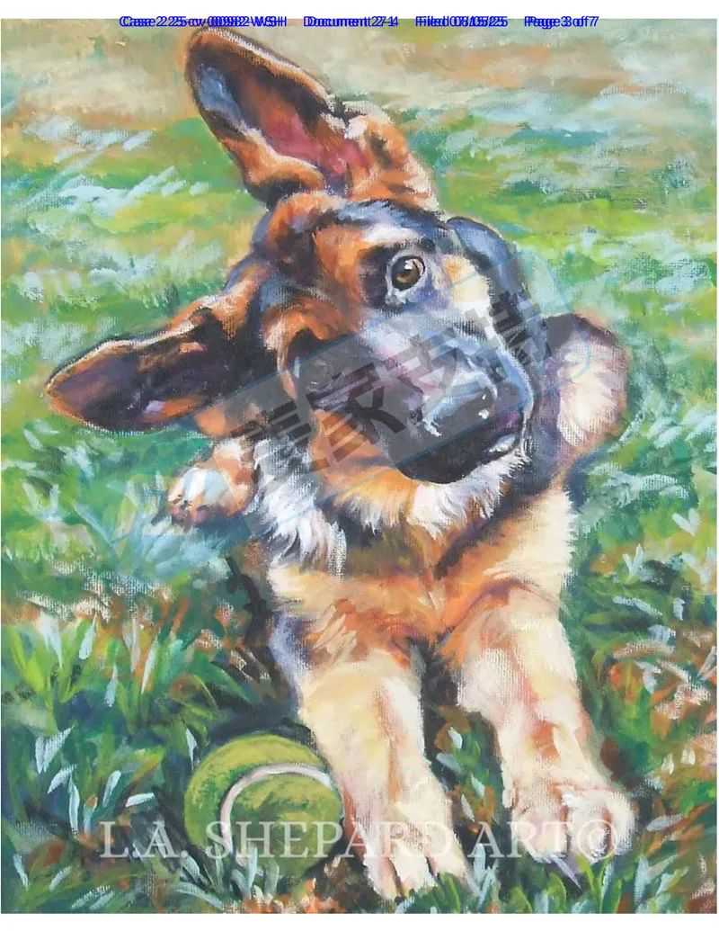 25-cv-00982，203店涉案被TRO冻结的狗狗版权，维权细节出炉啦！