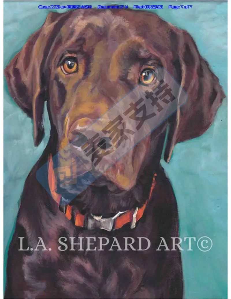 25-cv-00982，203店涉案被TRO冻结的狗狗版权，维权细节出炉啦！