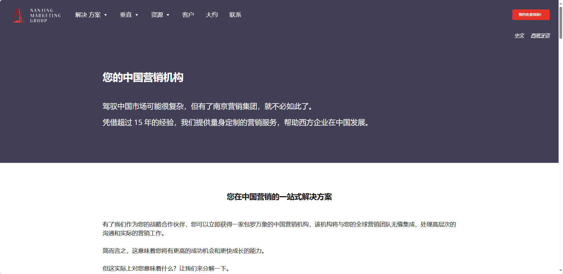 Nanjing Marketing Group