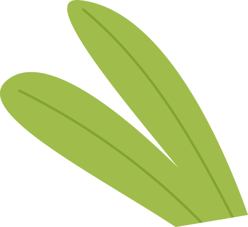 新兴跨境市场迷局：中东、拉美、非洲、东南亚如何选择?