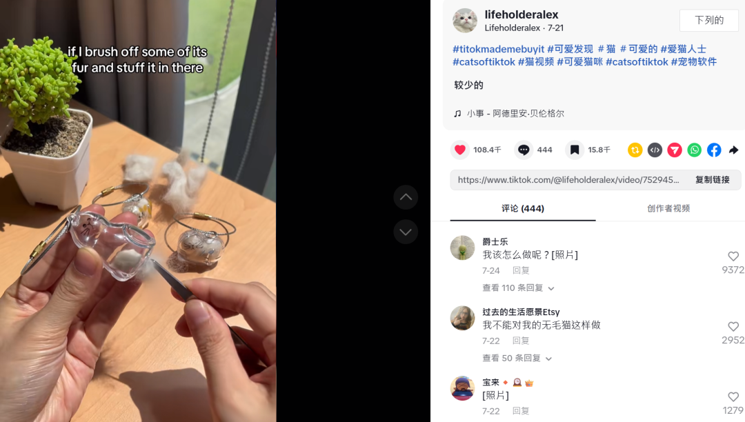 在TikTok卖宠物纪念品,有卖家年营收达2200万美元!