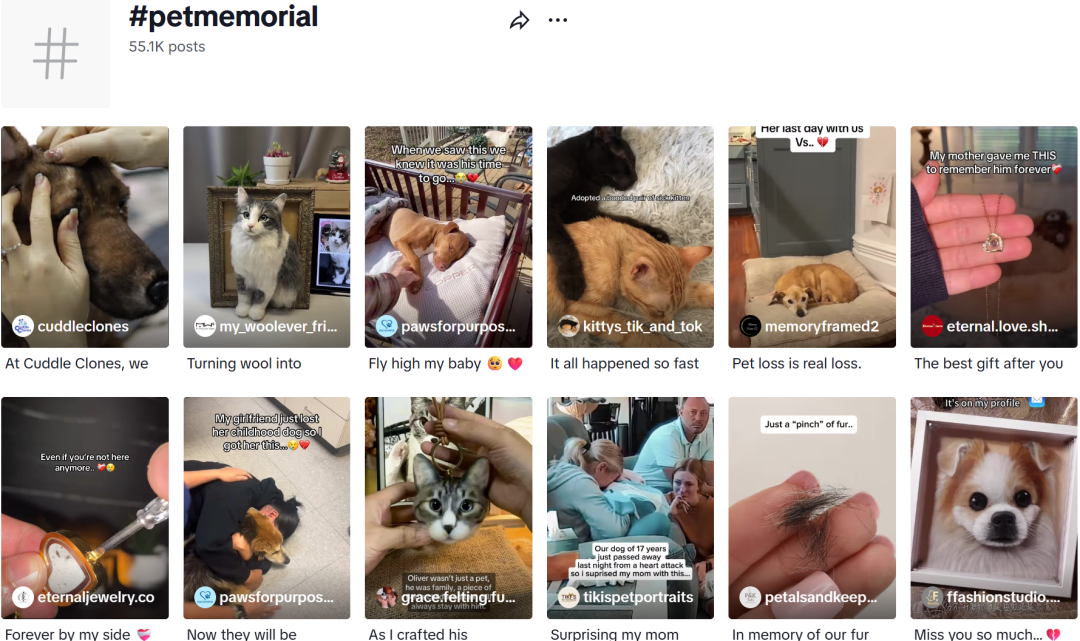 在TikTok卖宠物纪念品,有卖家年营收达2200万美元!