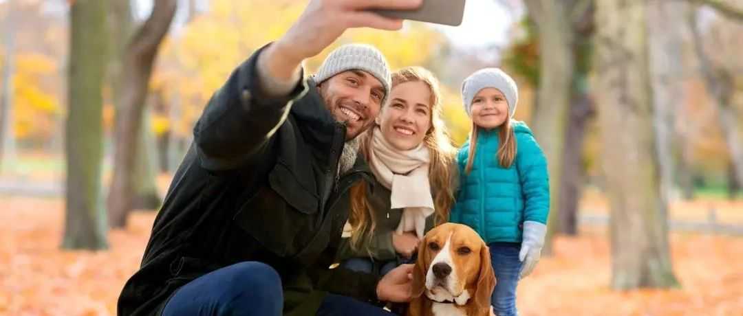 在TikTok卖宠物纪念品,有卖家年营收达2200万美元!