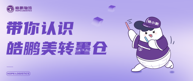 皓鹏创始人带你看皓鹏墨西哥仓