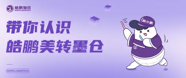 皓鹏创始人带你看皓鹏墨西哥仓