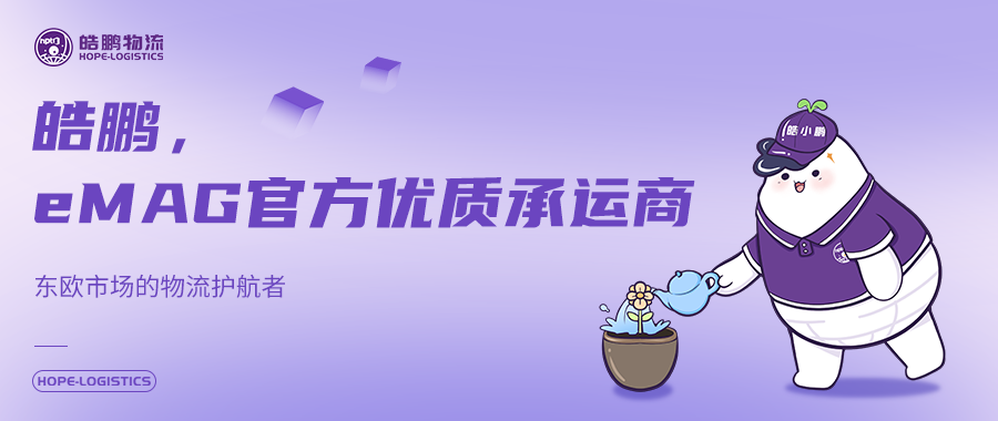 皓鹏创始人带你看皓鹏墨西哥仓