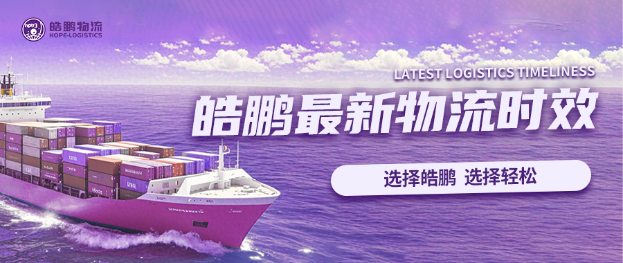 皓鹏创始人带你看皓鹏墨西哥仓