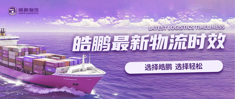 皓鹏创始人带你看皓鹏墨西哥仓