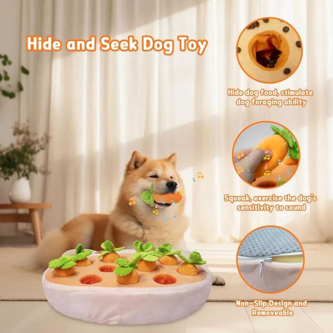 猫主子成为家庭CEO后诞生了这些爆款趋势，你的致富机会来了！