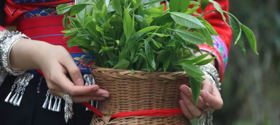 深度内容营销如何将“中国传统文化”卖成爆款？