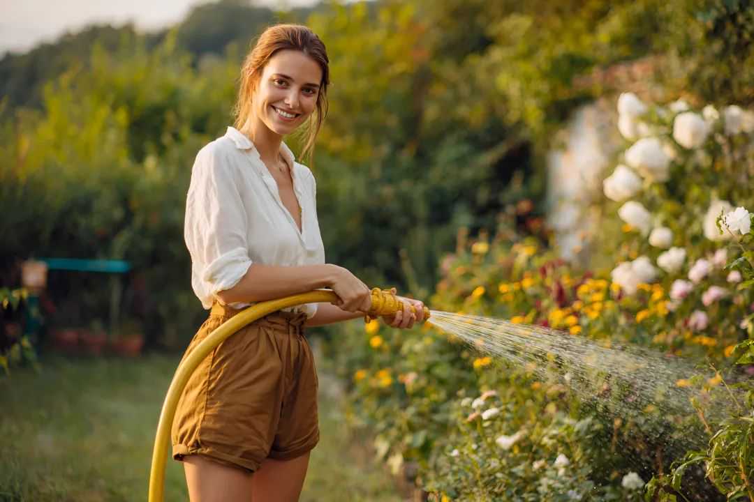 7日销量破万，国产“浇花神器”登顶TikTok榜一