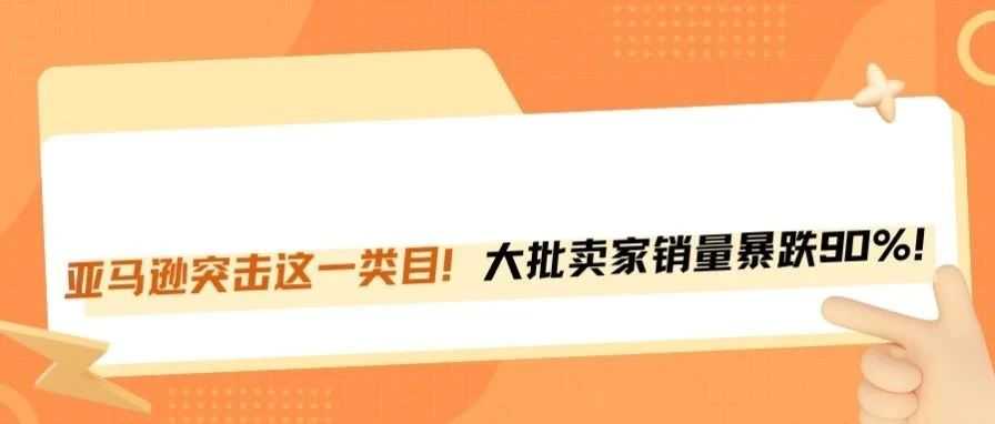 亚马逊突击冷门暴利类目，卖家集体凉凉！