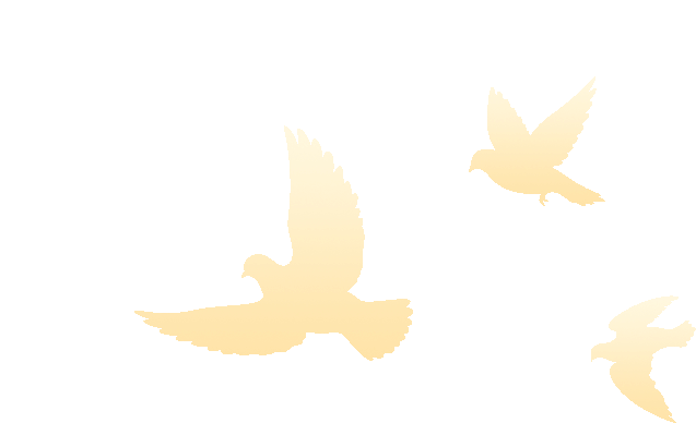 重磅！两大全新专区亮相2025年CCBEC深圳跨境电商展览会