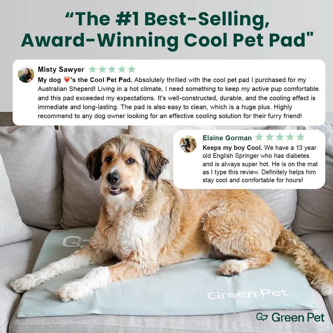 溢价152倍!降温狗垫全美0差评,再造单品神话