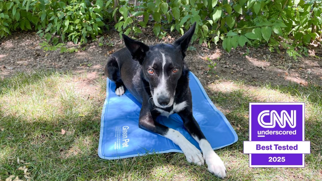 溢价152倍!降温狗垫全美0差评,再造单品神话