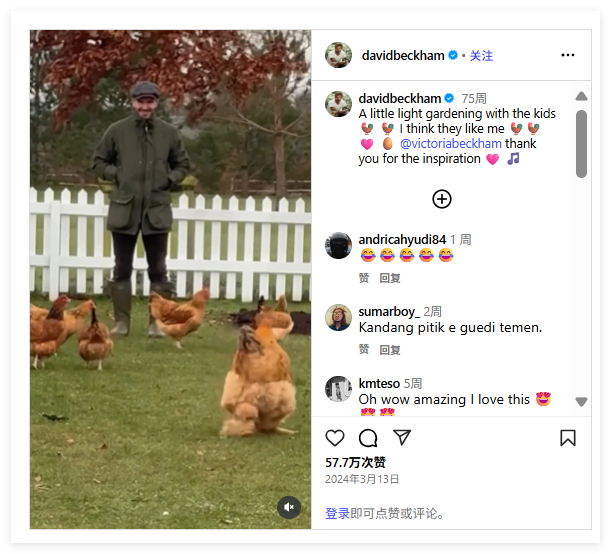 国产品牌"7日销量破万"，全球家居园艺市场还暗藏什么机遇？