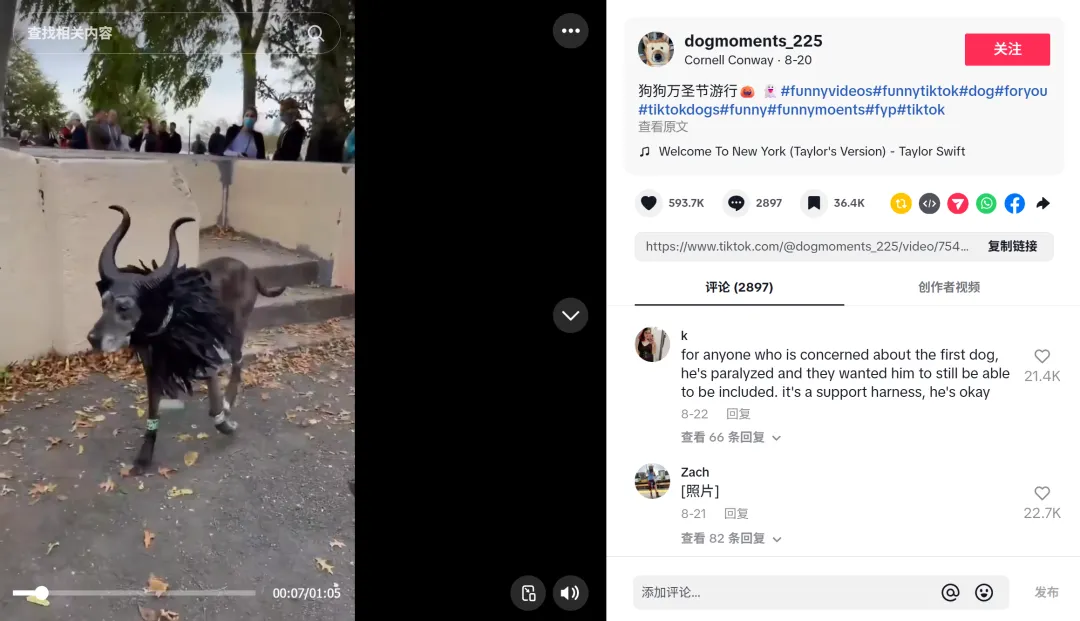 万圣节爆款预定!这款灯饰在TikTok已狂卖60万!