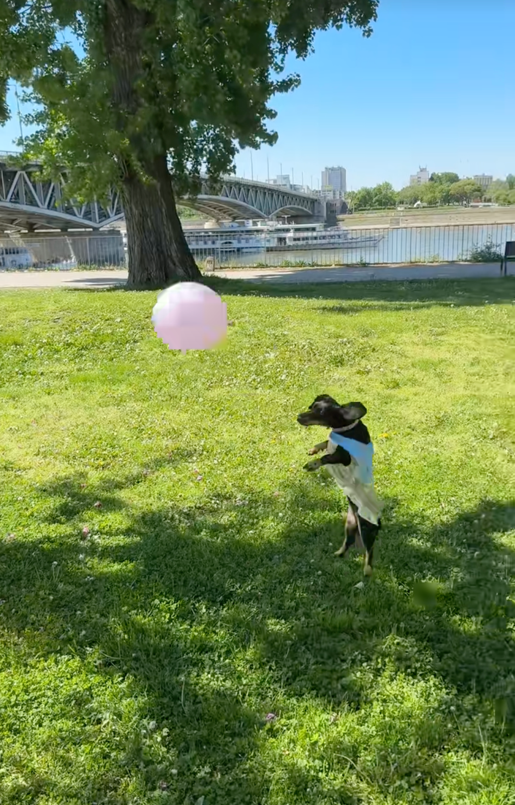 TikTok Shop欧洲跨境POP PEAKS 出海经营方法论