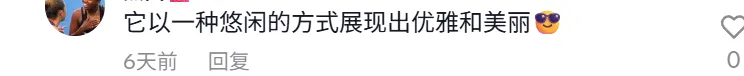 30天卖了半年的量！这件时尚单品爆火TikTok