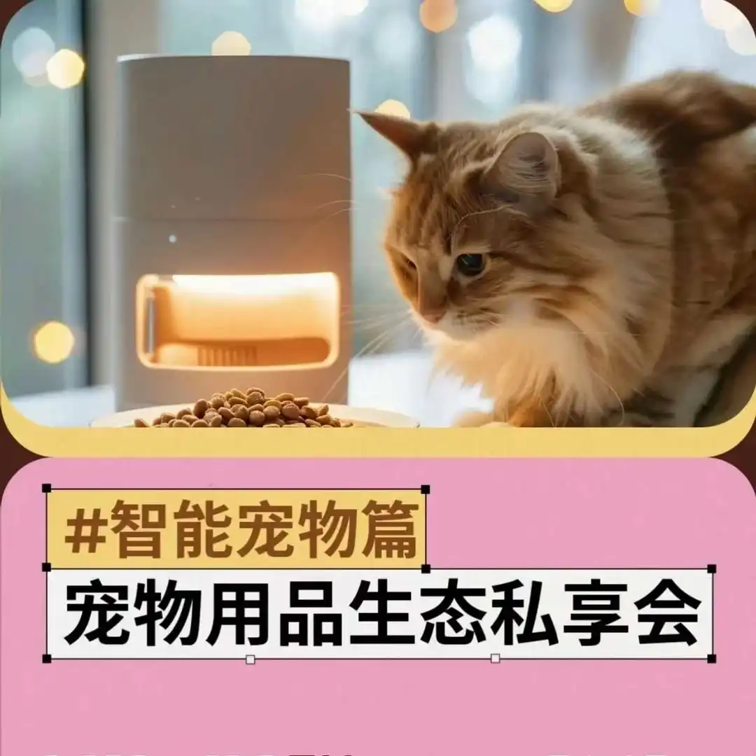 千亿市场出海狂飙，如何打造下一个“宠物爆品”？