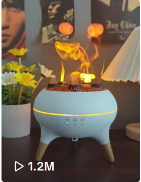 在TikTok上卖加湿器，跨境卖家28天营收130w