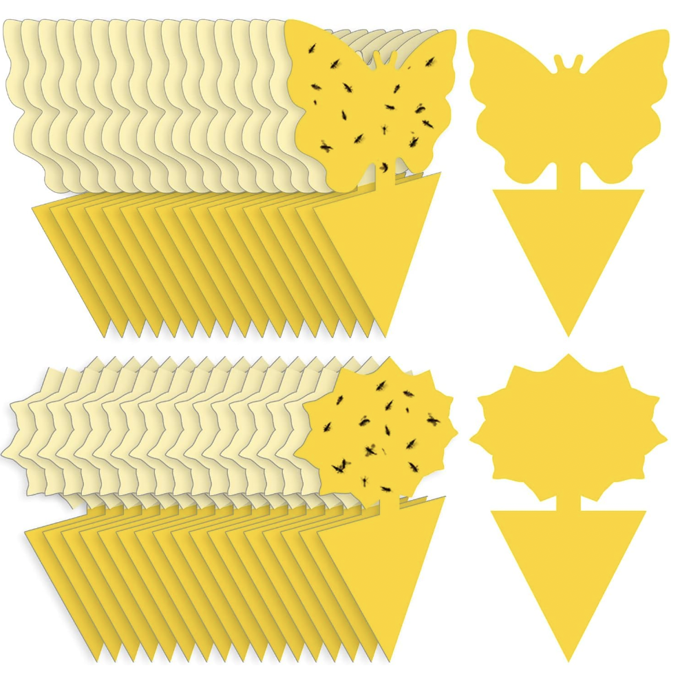 亚马逊10款厨房用品月销超10万美元，除虫与家电需求旺盛