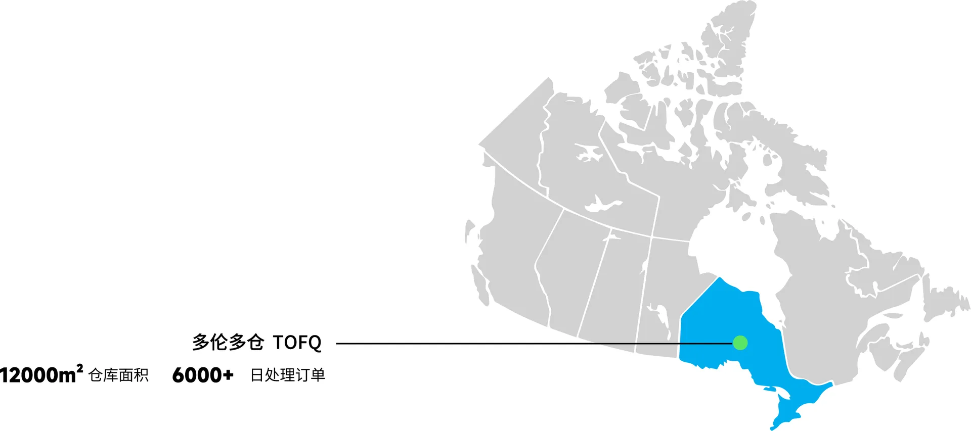 打卡！包子哥在深圳物博会送包子了！