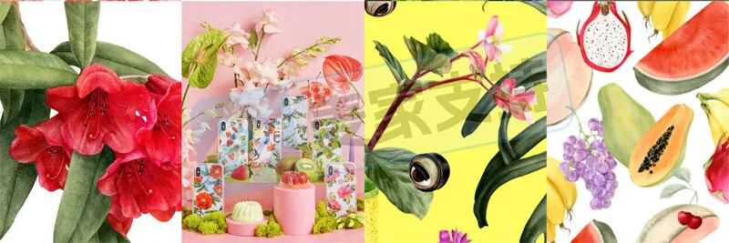 25-cv-01221，植物插画师Shelley Steer跨境隐匿维权，41店被TRO冻结！