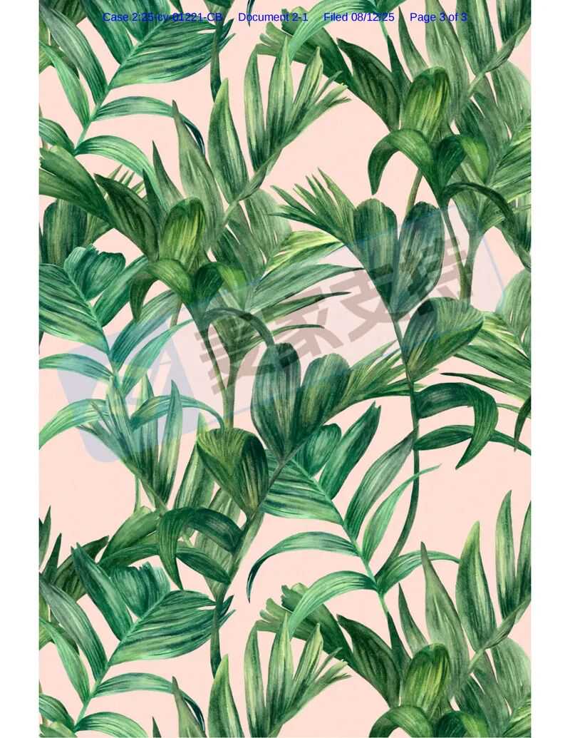 25-cv-01221，植物插画师Shelley Steer跨境隐匿维权，41店被TRO冻结！