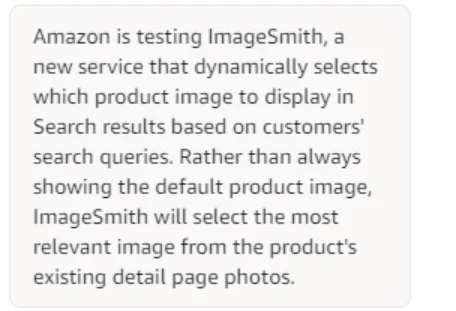 利好卖家，亚马逊开放这一关键工具！