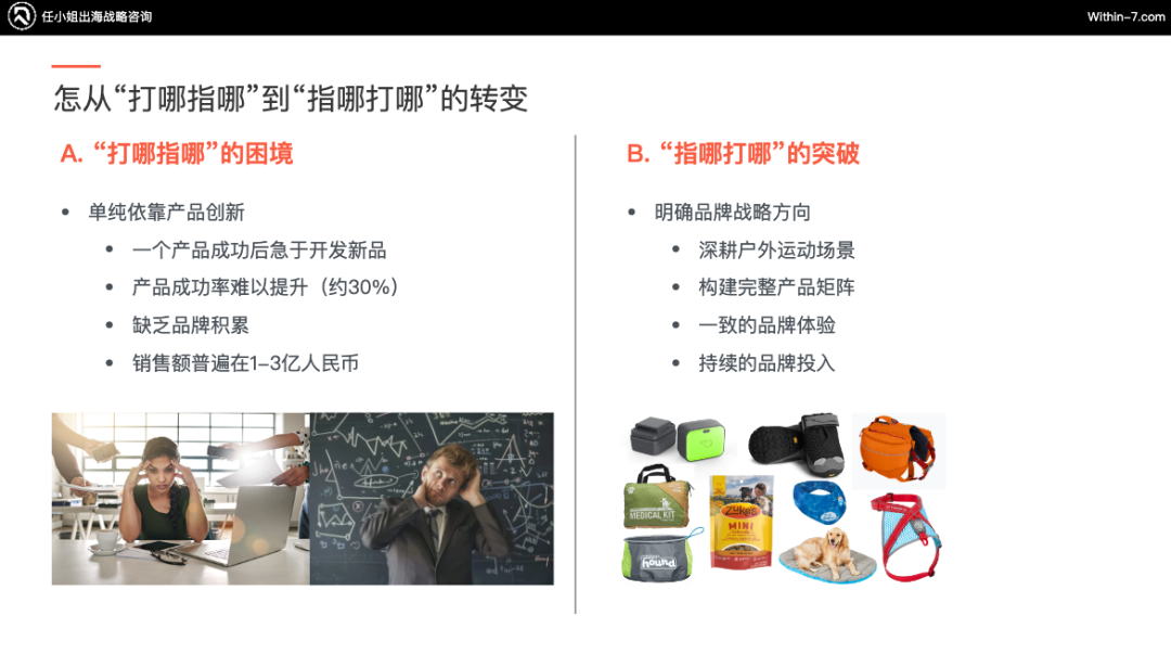 拆解全球TOP宠物品牌：他们做对了什么，我们错过了什么？｜从亿级卖家到百亿企业