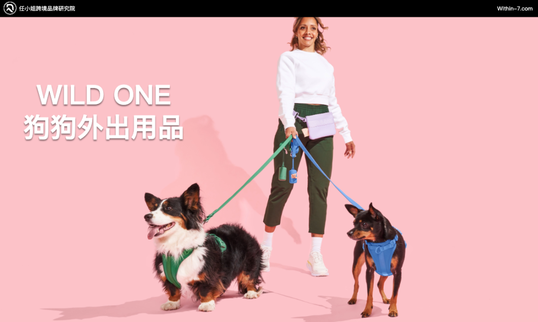 拆解全球TOP宠物品牌：他们做对了什么，我们错过了什么？｜从亿级卖家到百亿企业