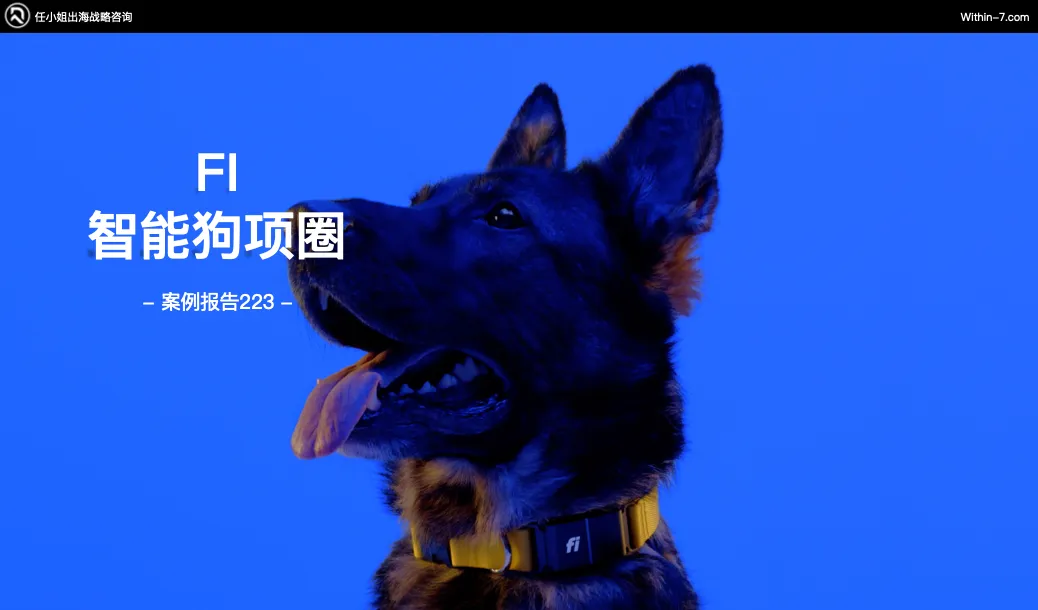 拆解全球TOP宠物品牌：他们做对了什么，我们错过了什么？｜从亿级卖家到百亿企业