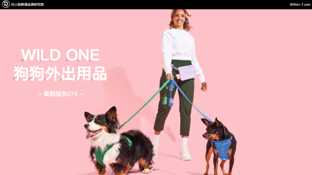 跨境"无人区突围"挑战｜商业洞察：头部跨境企业的十倍增长引擎