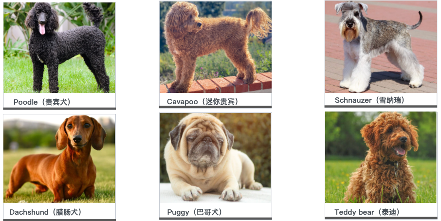 跨境"无人区突围"挑战｜商业洞察：头部跨境企业的十倍增长引擎