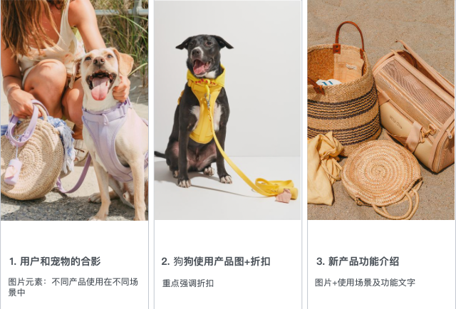 跨境"无人区突围"挑战｜商业洞察：头部跨境企业的十倍增长引擎