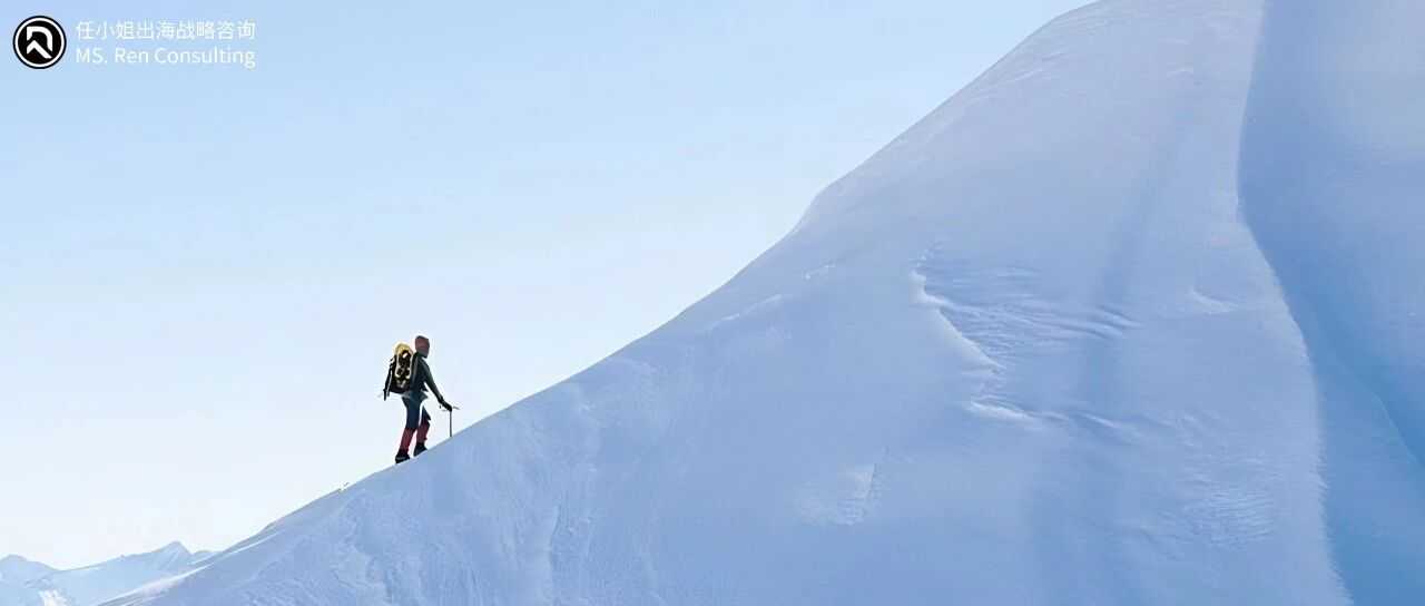 跨境"无人区突围"挑战｜商业洞察：头部跨境企业的十倍增长引擎