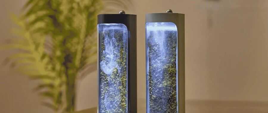 单价$600+加湿器众筹达成率108倍，活苔藓成最大卖点