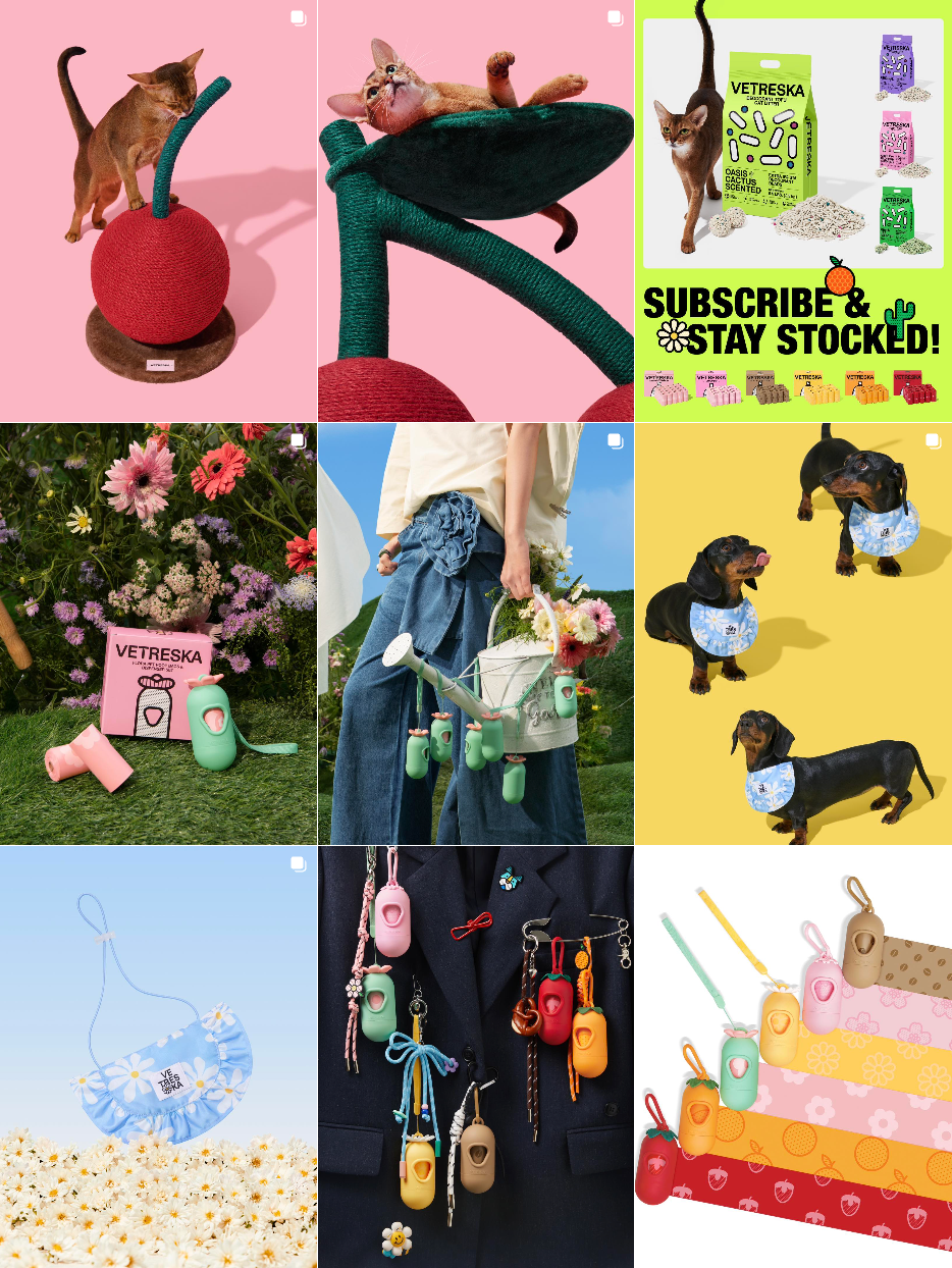 你没听过的上海品牌，在北美把160美元的猫爬架卖成了爆款