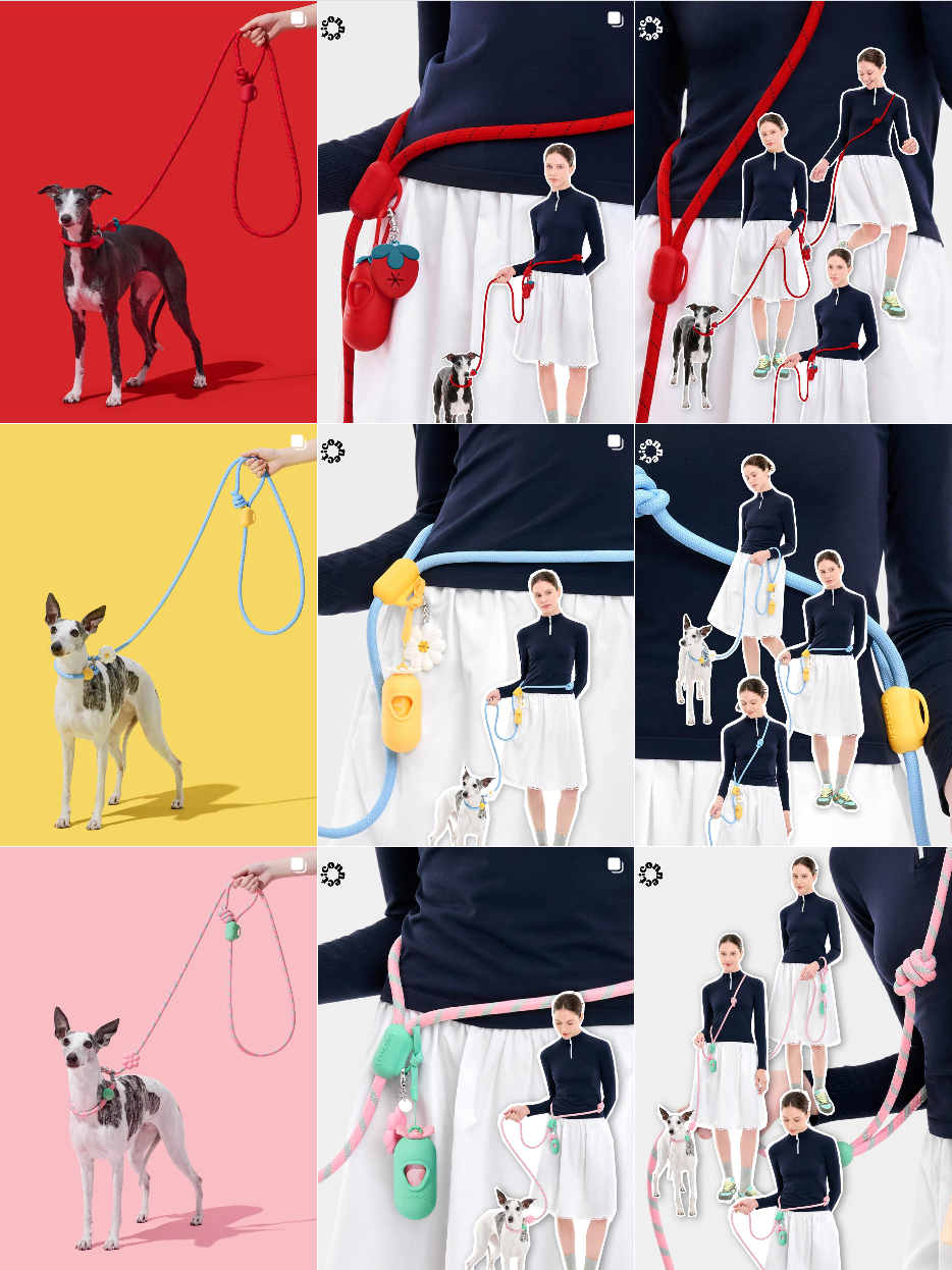 你没听过的上海品牌，在北美把160美元的猫爬架卖成了爆款