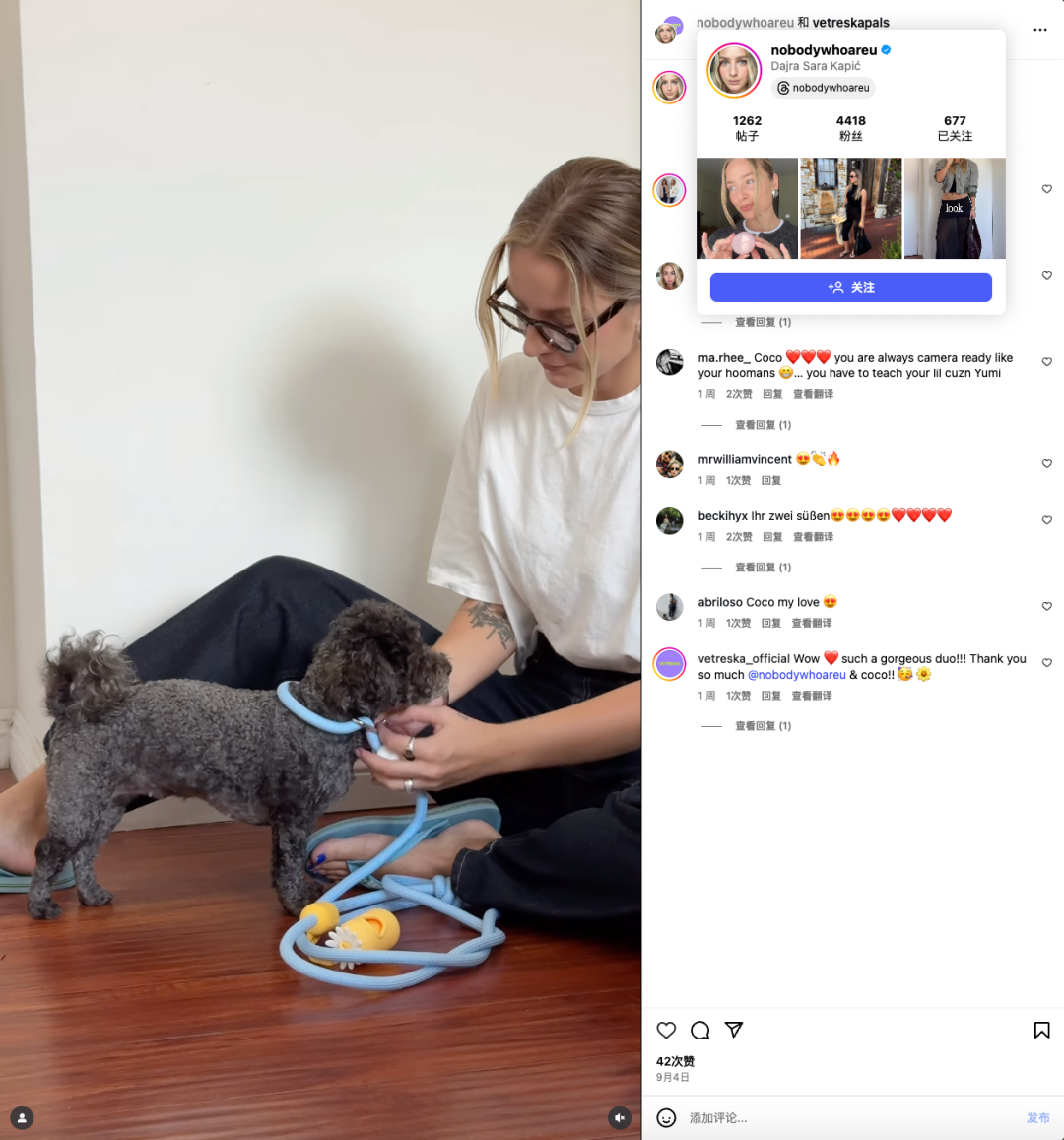 你没听过的上海品牌，在北美把160美元的猫爬架卖成了爆款