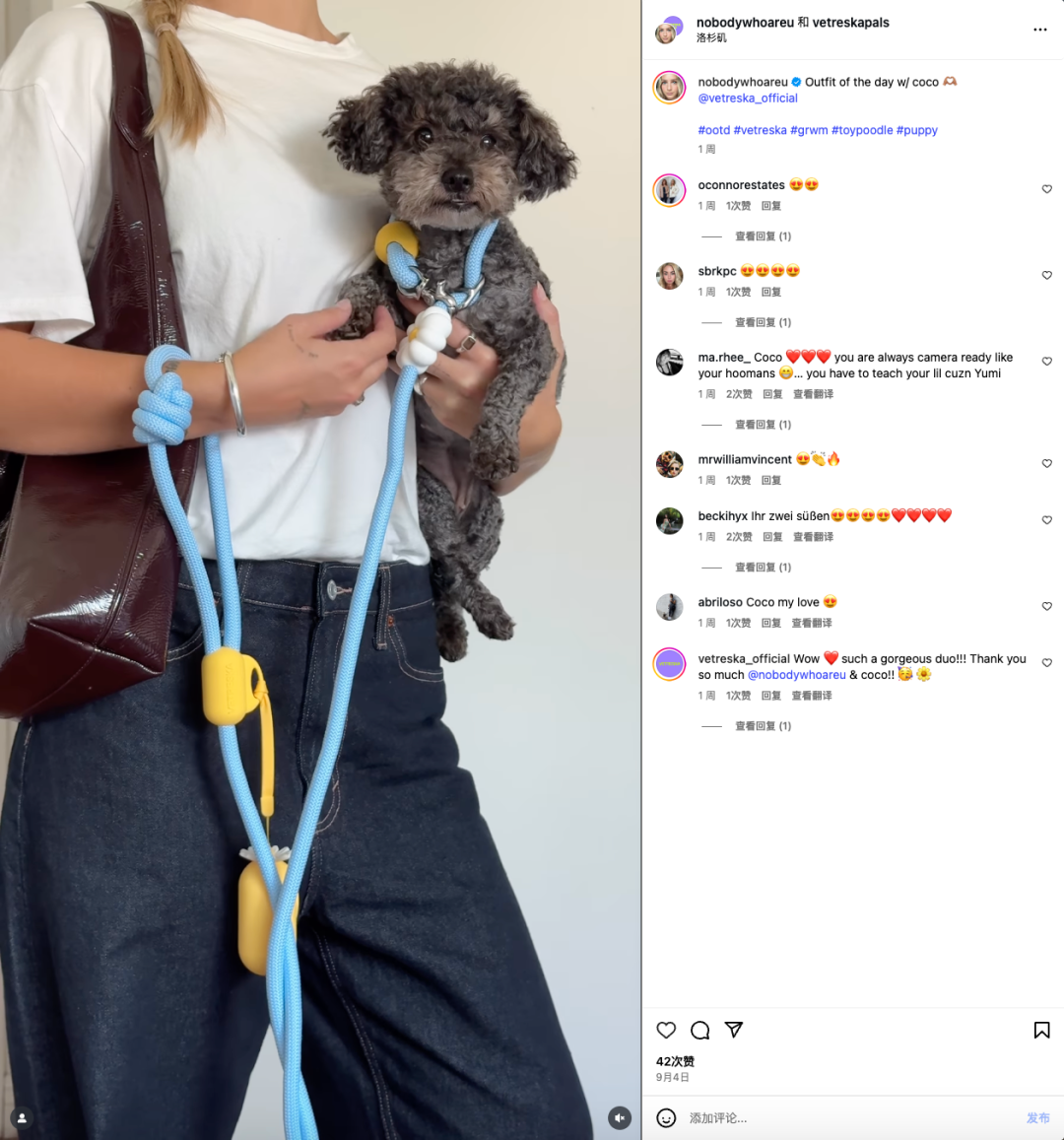 你没听过的上海品牌，在北美把160美元的猫爬架卖成了爆款