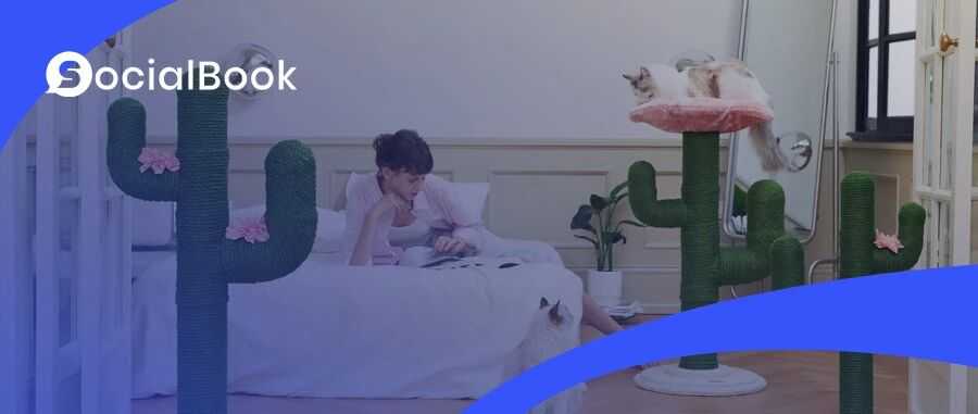 你没听过的上海品牌,在北美把160美元的猫爬架卖成了爆款