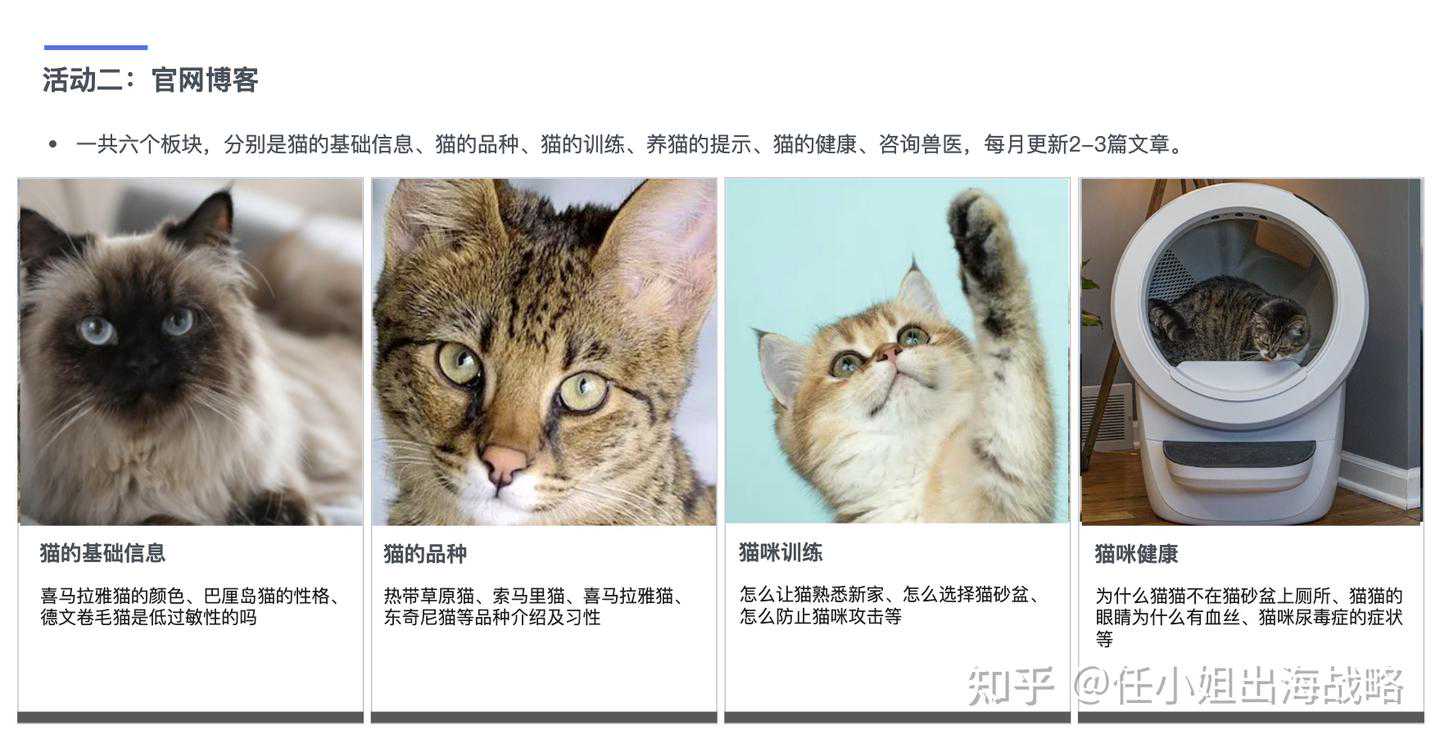 宠物出海爆款：智能猫砂盆品牌Little Robot如何突破3亿美金销售额？